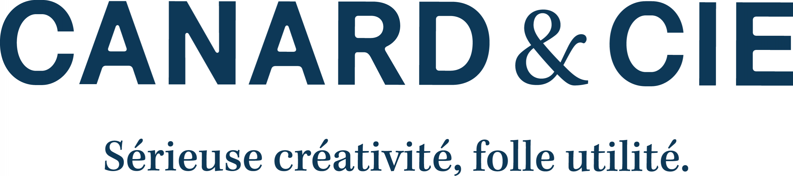 LogoCanard2025_baseline_Bleu.original